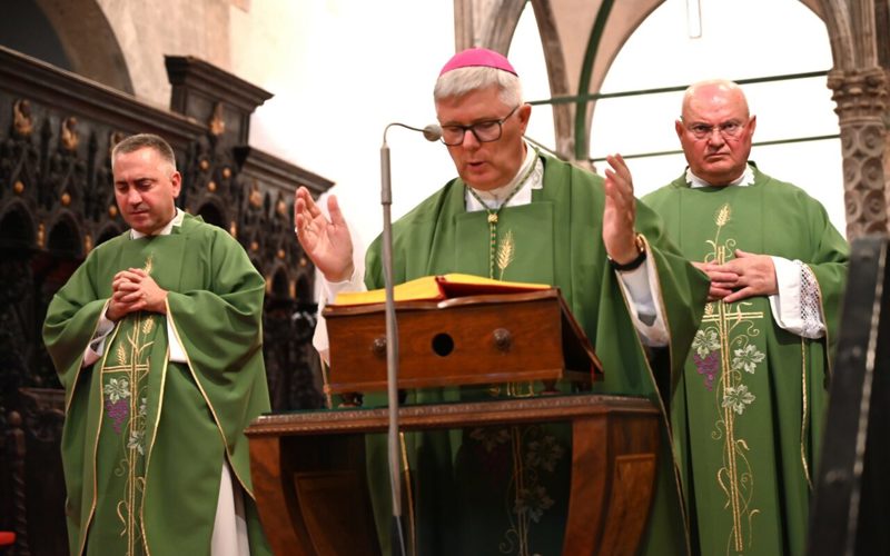 Gallery image for WEEK OF SACRED MUSIC 2026. A PLACE WHERE MUSIC, LITURGY AND COMMUNITY MEET