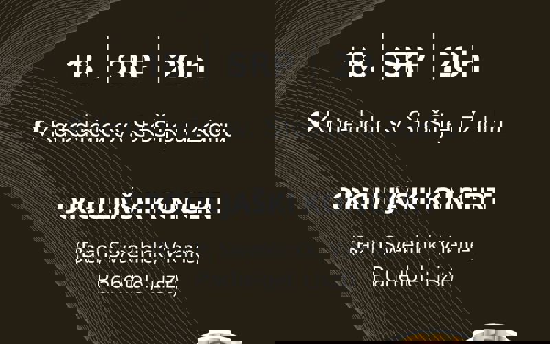 MATTHIAS HAVINGA – SOLISTIČKI ORGULJAŠKI KONCERT U KATEDRALI SV. STOŠIJE  18. 7. 2024.